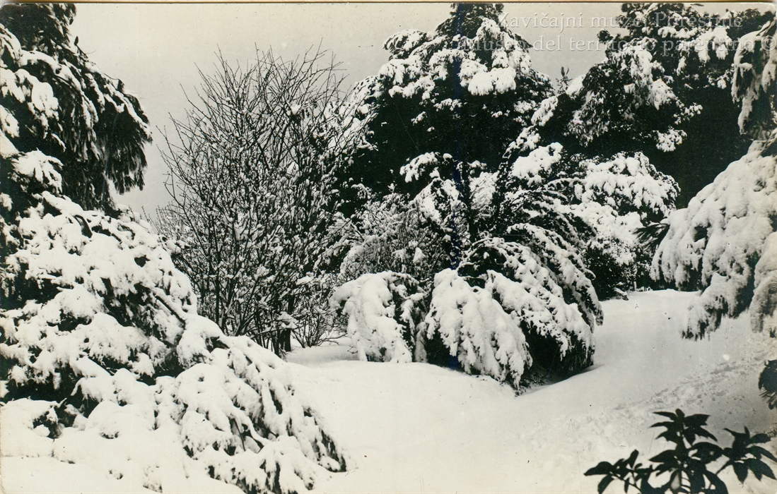 Image description